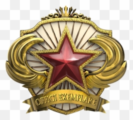 Trust System And Itu0027s Factors Globaloffensive - 2018 Service Medal Csgo Emoji,Emojis In Cs Go Nametags