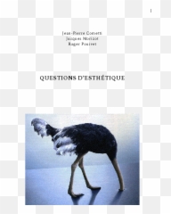 Pdf Questions Du0027esthétique Jean - Pierre Cometti And Jean Faire L Autruche Expression Emoji,