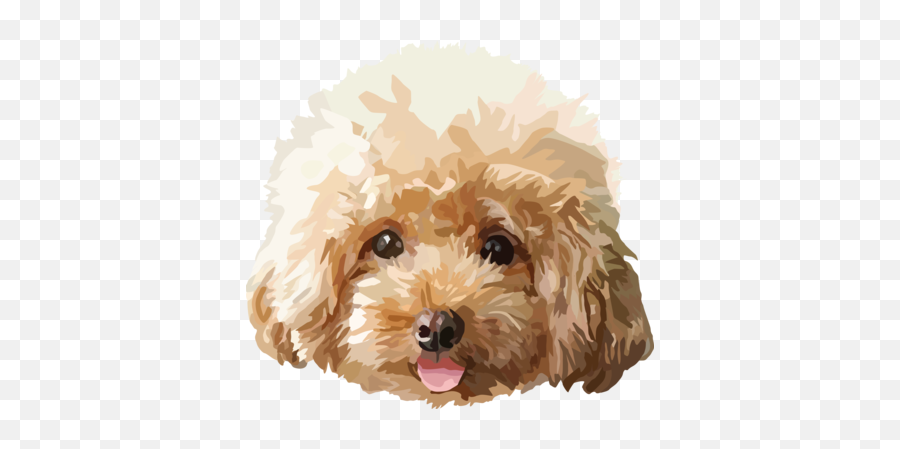 Cats U0026 Dogs - Redbubble Sticker Pack By Redbubble Chó Poodle Màu Kem Emoji,Dog Emojis Poodle