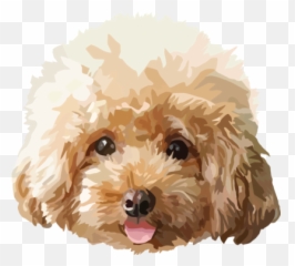Cats U0026 Dogs - Redbubble Sticker Pack By Redbubble Chó Poodle Màu Kem Emoji,Dog Emojis Poodle