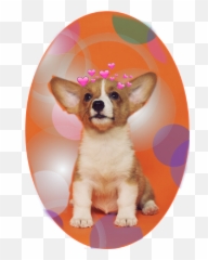 12345 Freetoedit 12345 Sticker By Mikiebott7 Emoji,Wales Emoji