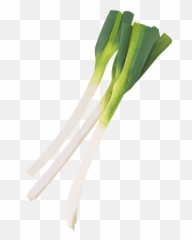 Spring Onions Transparent Background Png Play Emoji,Windows Onion Emoji Vector??????