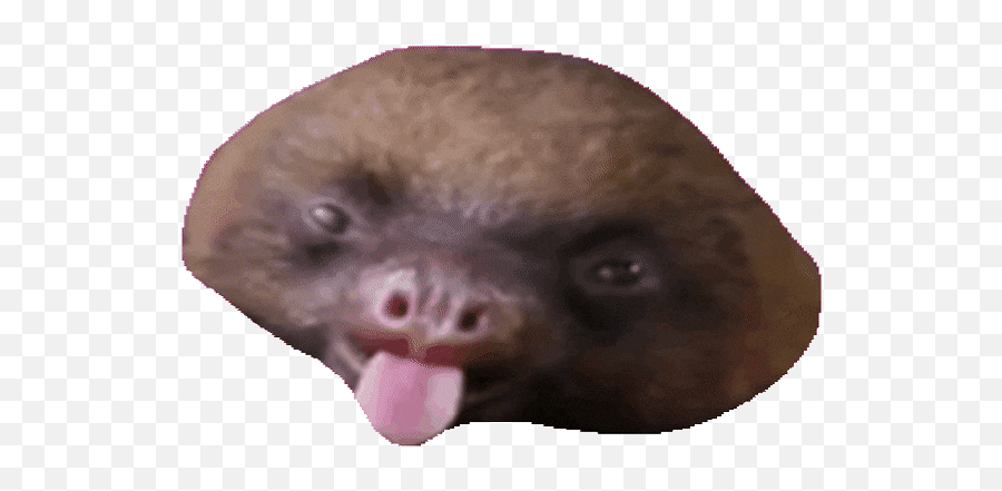 Top Funny Aww Sloth Stickers For - Ugly Emoji,Sloth Emoji Android