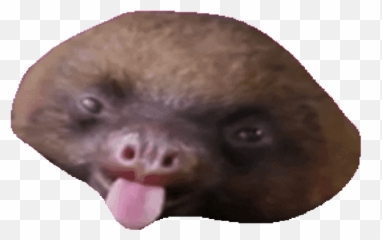 Top Funny Aww Sloth Stickers For - Ugly Emoji,Sloth Emoji Android