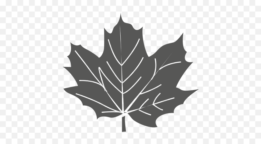Maple Leaf Line Silhouette - Transparent Png U0026 Svg Vector File Lovely Emoji,Leaves Emoji Png
