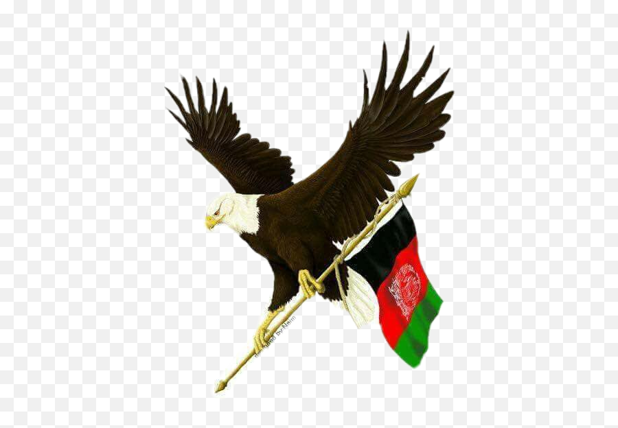 Afghanistan Flag Sticker By Khyal Tanha Lalporwal - Afghanistan Flag With Eagle Emoji,Afg Flag Emoji