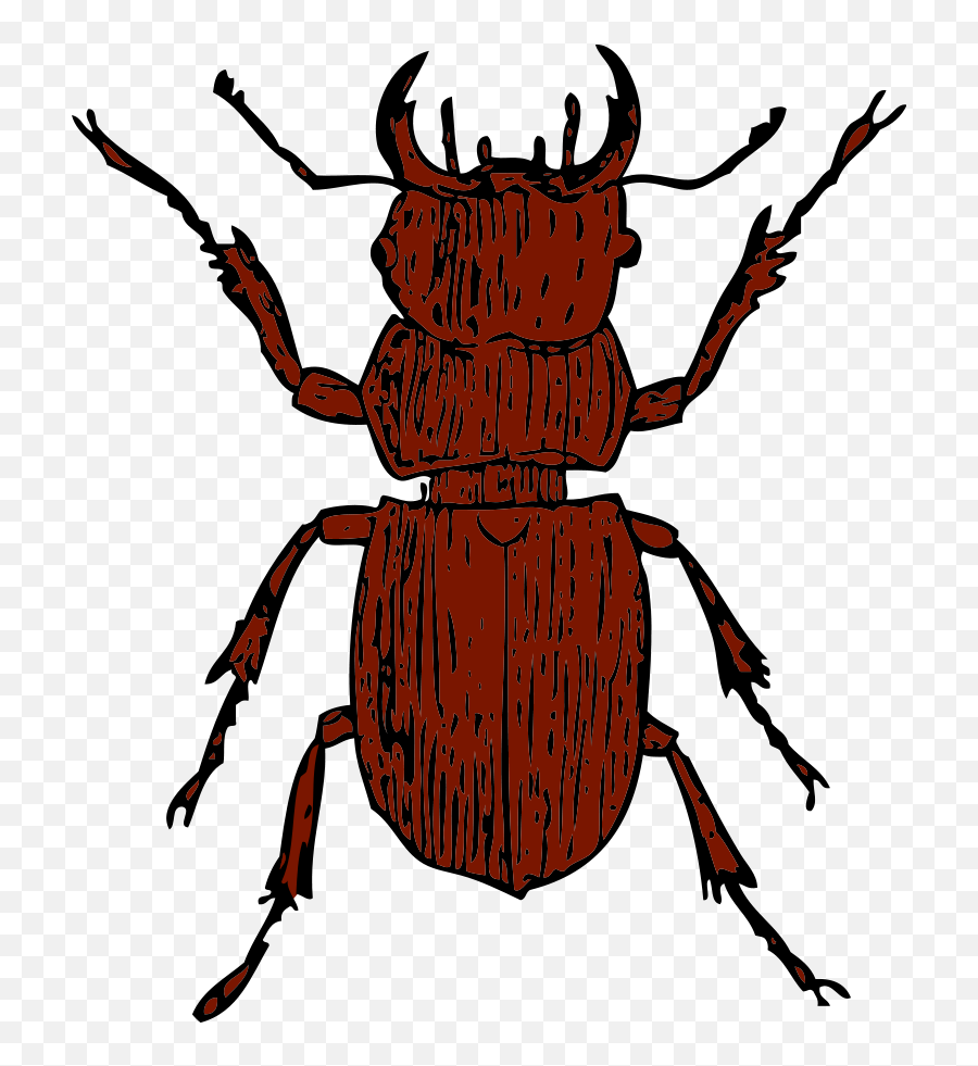 Pine Beetle Clipart Vector Clip Art - Insects Black And White Emoji,Cockroach Emoji