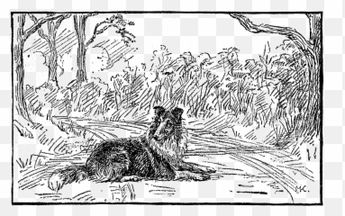 The Heart Of A Dog By Albert Payson Terhune - Sketch Emoji,Sims 4 Research Playful Emotion