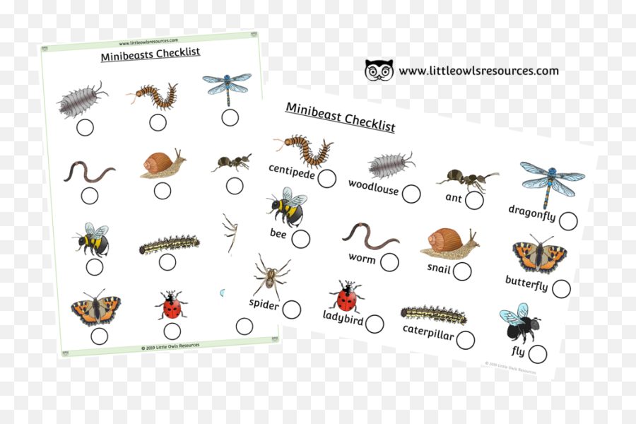 Free Minibeasts Checklist Printable - Printable Minibeast Hunt Sheet Emoji,Zzz Ant Ladybug Ant Emoji