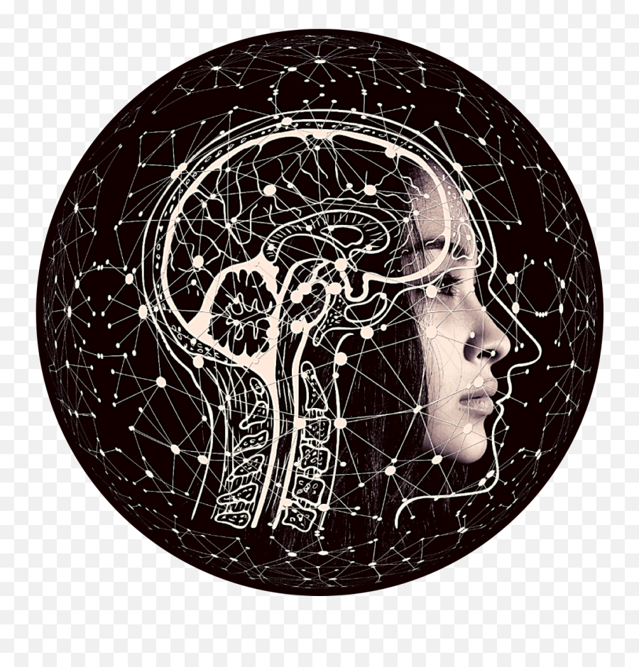 Ladybug Potions Acv Turmeric U0026 Cayenne Pepper Vegan Non Emoji,You've Had Enough Emotions Today Ladybug