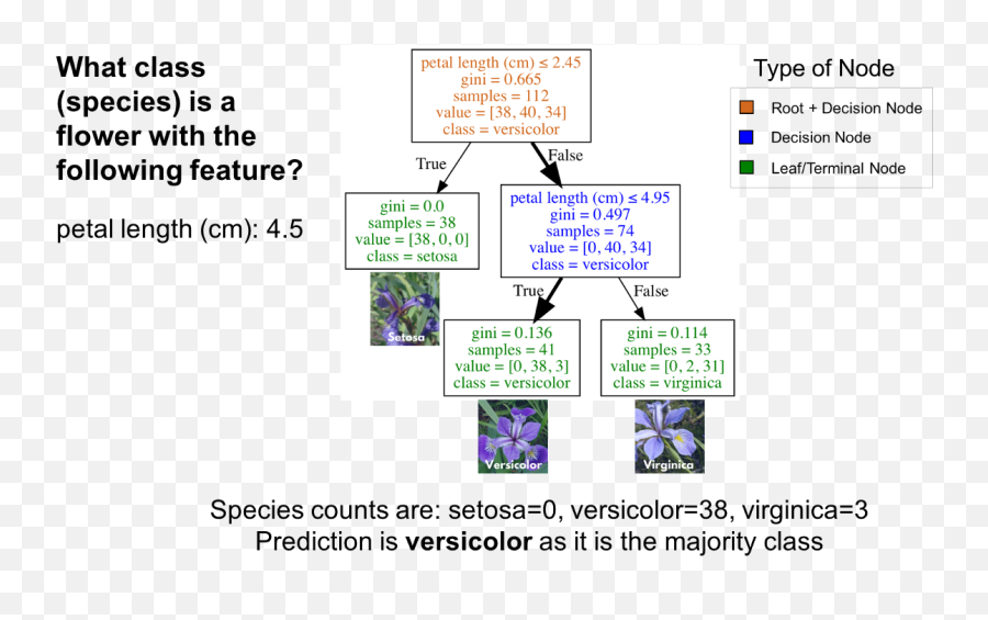 Visualizing Decision Trees With Python Scikit - Learn Emoji,Lines Emotion Contour Drawing Assignment