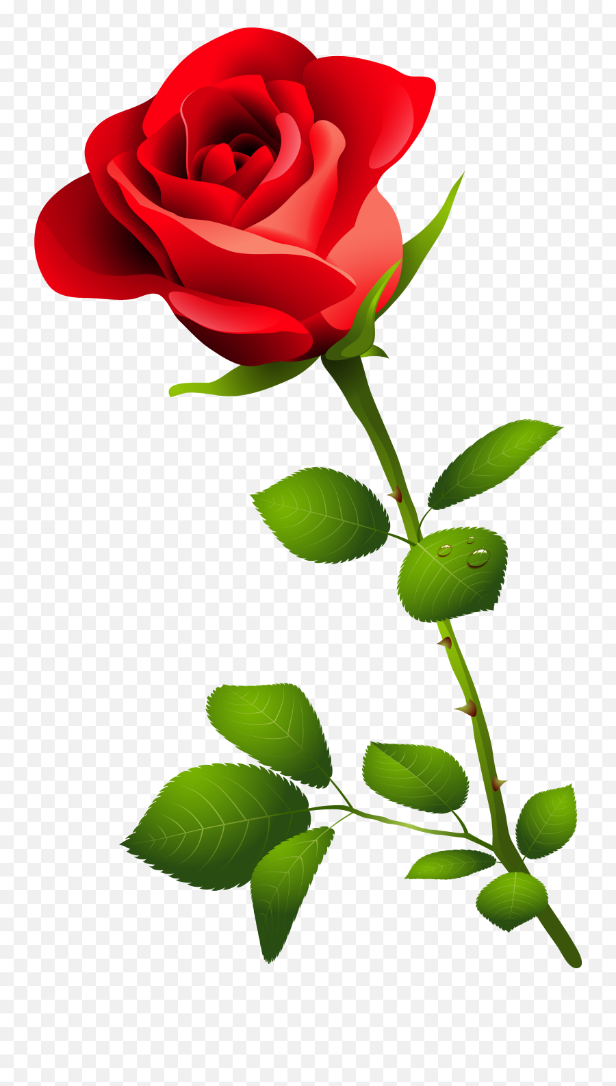 Rose Png Hd Images Free Rose Clipart Download - Free Emoji,Emoji Rose Clipart