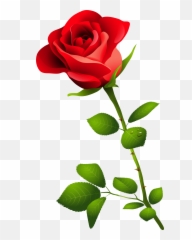 Rose Png Hd Images Free Rose Clipart Download - Free Emoji,Emoji Rose Clipart