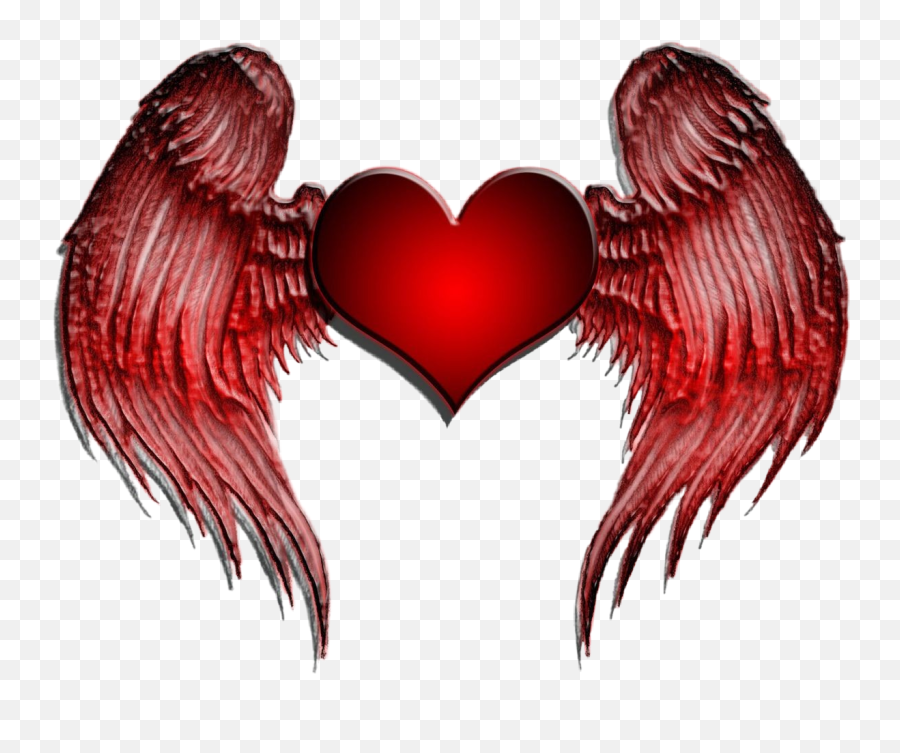 Love Red Wings Wing Kanat Kirmizi Sticker By - Girly Emoji,Red Wings Emoji