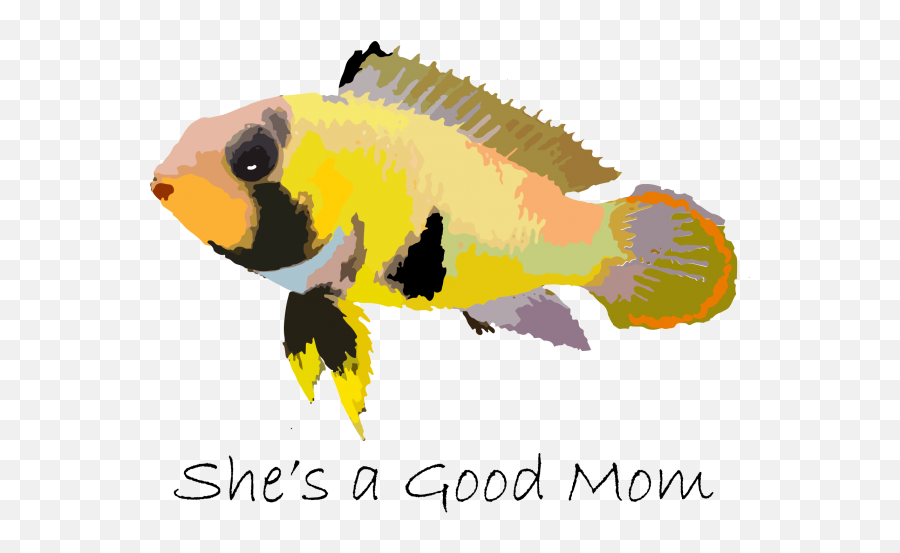 Fish Doodles - Photos Videos U0026 Journals Care Aquarium Fish Emoji,Guess The Emoji Tiger Shrimp