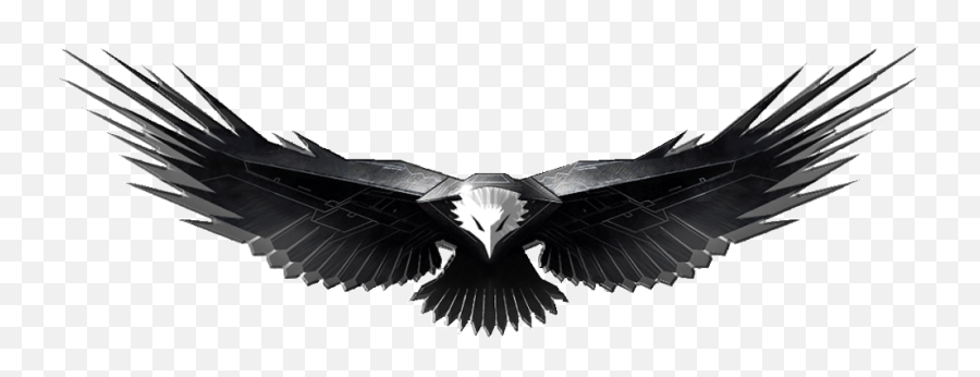 Eaglewingbirdaccipitriformesbird Of Preyvultureblack - Transparent Eagle Logo Png Emoji,Kite Emoji