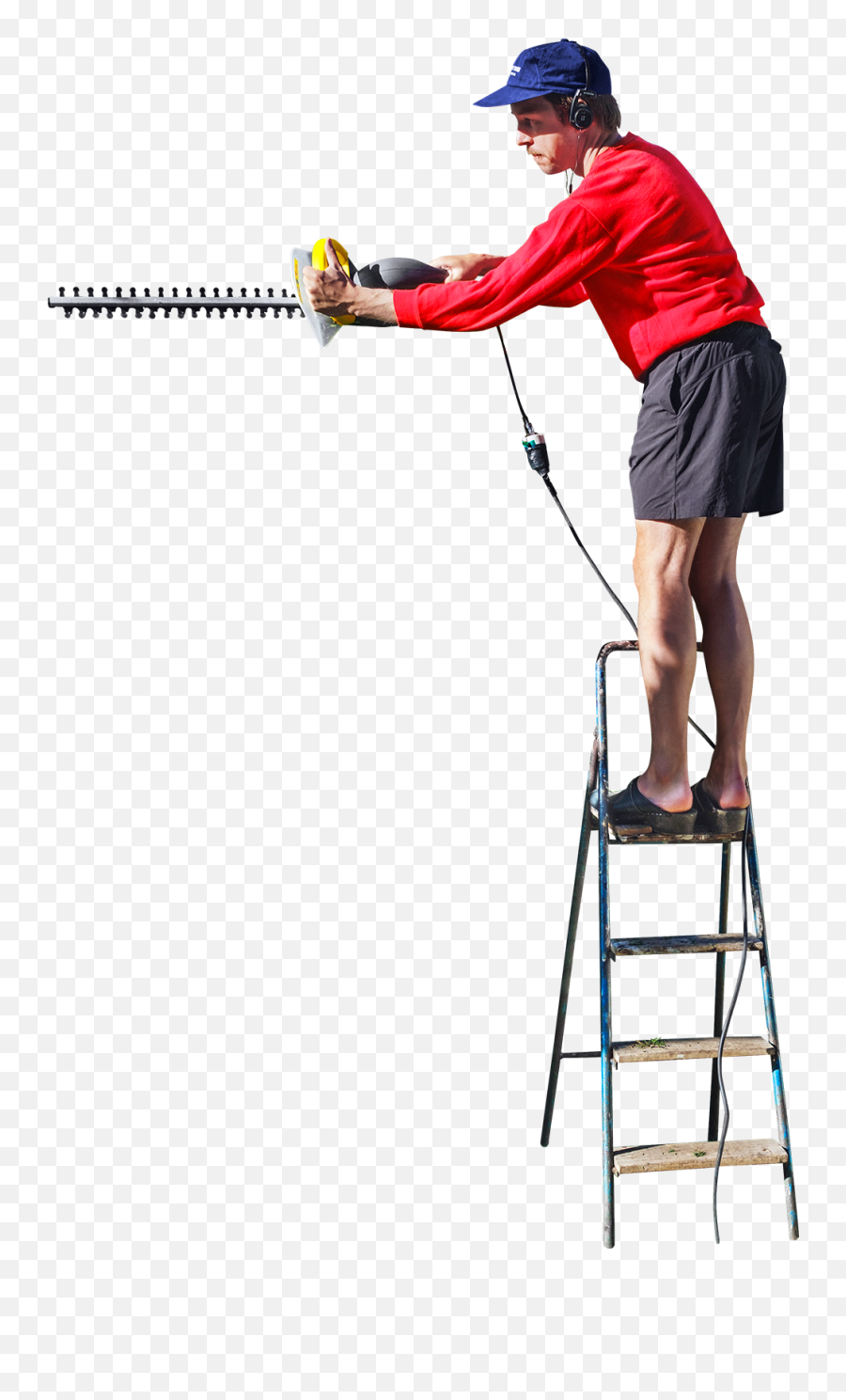 Hedge Png Images Transparent - Man On Ladder Png Emoji,Ladder Emoji