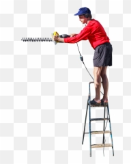 Hedge Png Images Transparent - Man On Ladder Png Emoji,Ladder Emoji