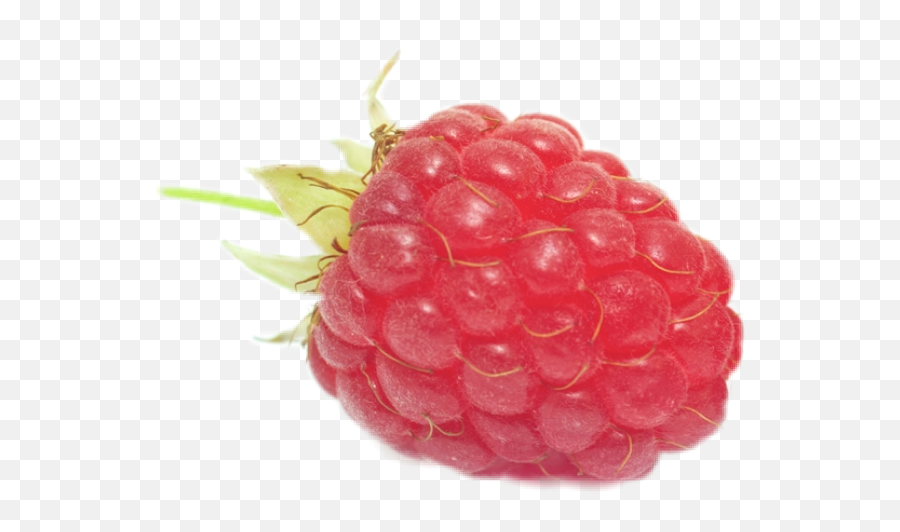 Raspberry Sticker - Wineberry Emoji,Raspberry Emoji