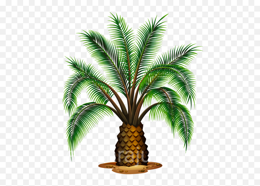 Free Png Imag And Transparent Beautiful - Palm Oil Tree Vector Emoji,Download Emoji For Palm Trees