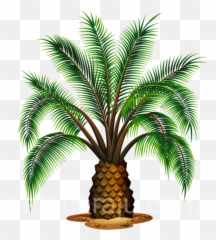Free Png Imag And Transparent Beautiful - Palm Oil Tree Vector Emoji,Download Emoji For Palm Trees