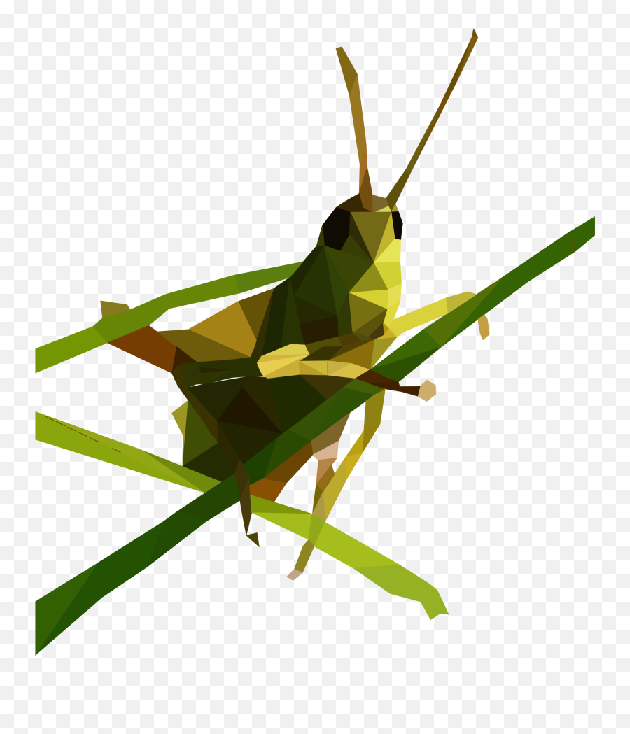 Png Image - Icon Locust Png Emoji,Zzz Ant Ladybug Ant Emoji