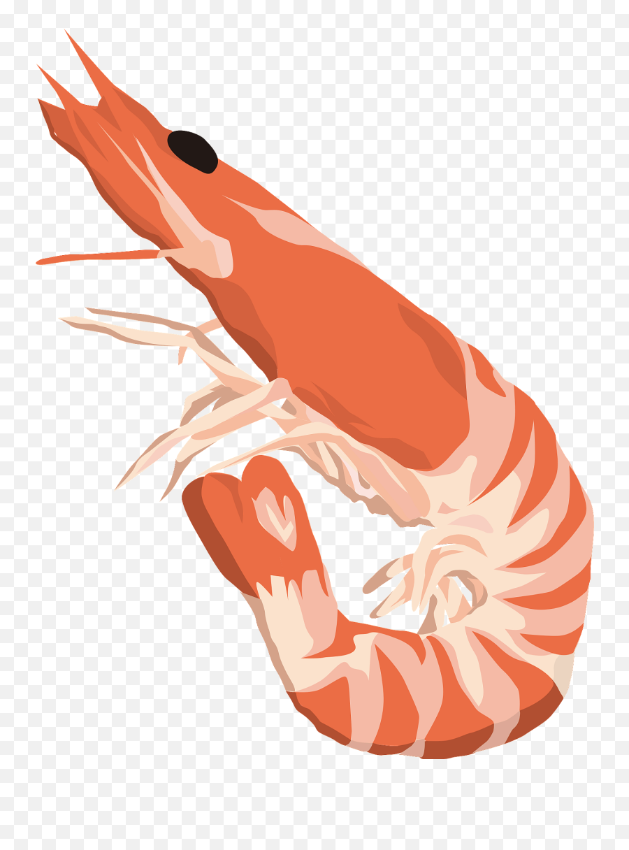 Northern Shrimp Food Clipart - Shrimp Clipart Emoji,Emoji Tiger And Shrimp