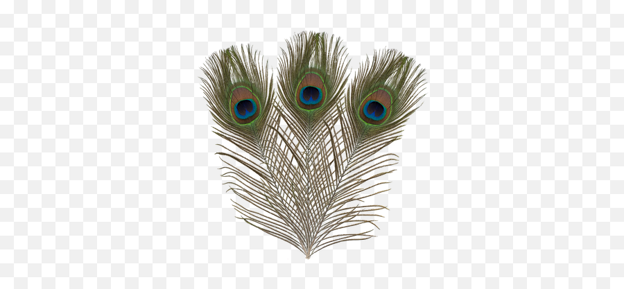 Ef - 018 Peacock Feather Angels Craft Decorative Emoji,Peacock Feather Ascii Emoticon