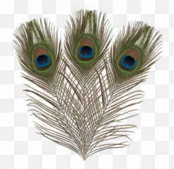 Ef - 018 Peacock Feather Angels Craft Decorative Emoji,Peacock Feather Ascii Emoticon