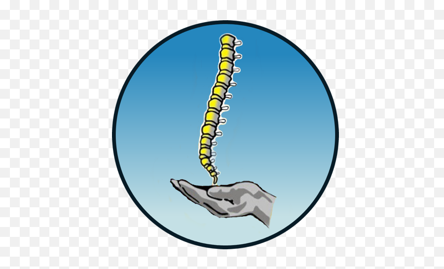 Coral Springs Chiropractor - The Spine U0026 Wellness Centers Parasitism Emoji,Emotion Trap In The Spine