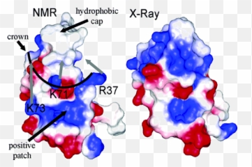 High - Resolution Crystal Structures Of Villin Headpiece And Emoji,Water Crystal Emotion Experiment