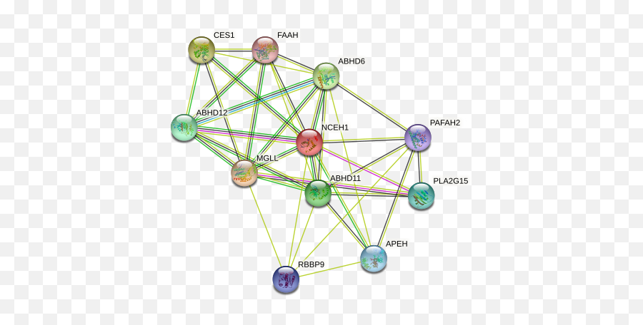 Nceh1 Protein Human - String Interaction Network Emoji,Organ Emotions Visceral