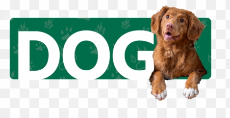 Vet Recommended Dog Food U0026 Cat Food Natural Supplements Emoji,Videos Of Dogs Emotions