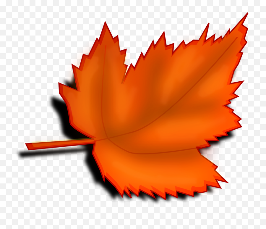 Fall Leaves Transparent Png Download - Transparent Background Autumn Leaf Clipart Emoji,Fallen Leaves Emoji