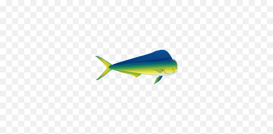 Dorado Dolphin Fishing 05920 - Fish Products Emoji,Samsung Noodle Emoji