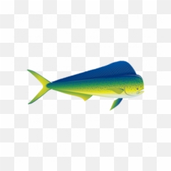 Dorado Dolphin Fishing 05920 - Fish Products Emoji,Samsung Noodle Emoji