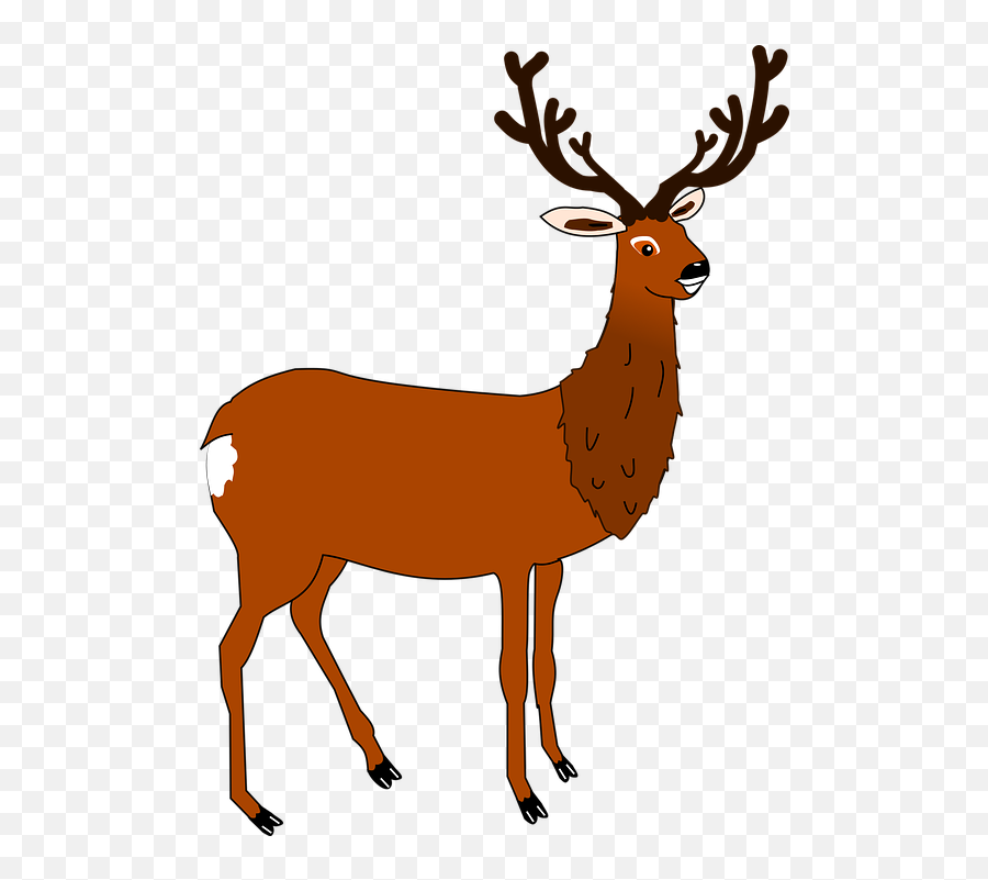 Free Photo Nature Deer Drive Fauna Hunting Feeding Forest - Buck Clipart Emoji,Emotions Do Zap Animais