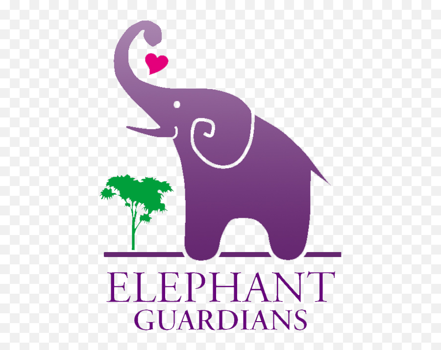 Learn - Earth Institute Columbia University Logo Emoji,Elephant Touching Dead Elephant Emotion