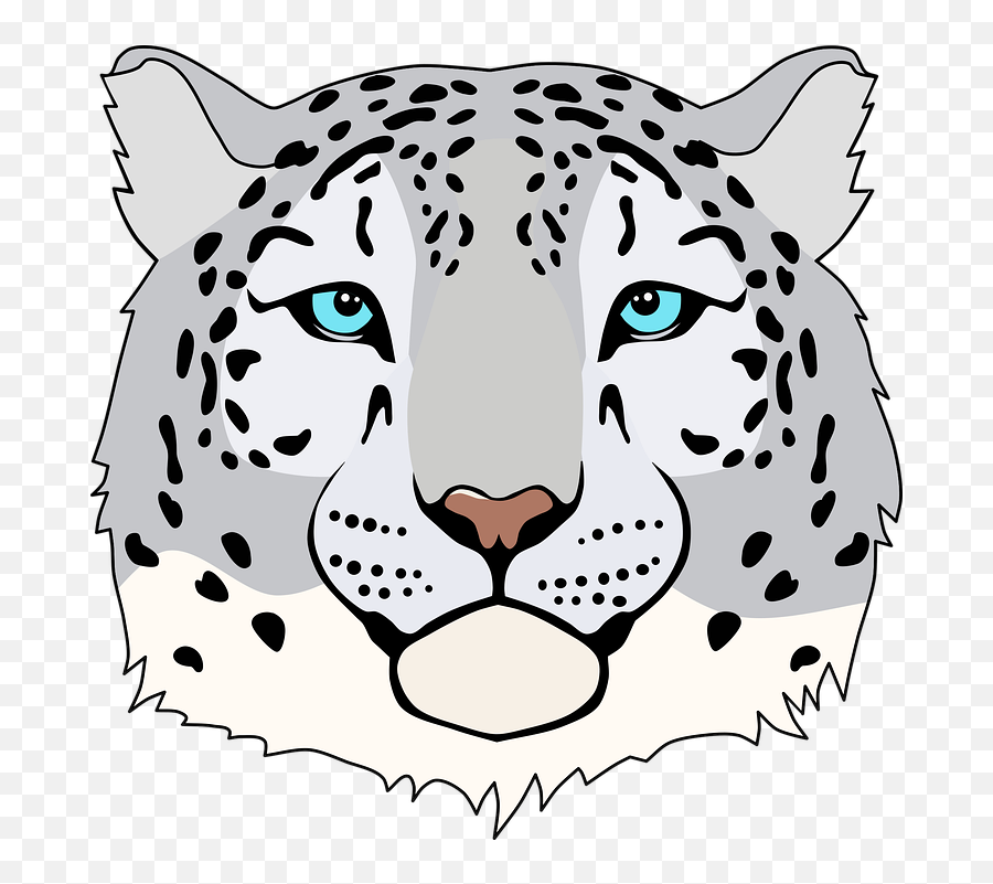 Free Photo Snow Leopard Snow Feline - Leopardo De Las Nieves Png Emoji,Cat Eyes For Different Emotions