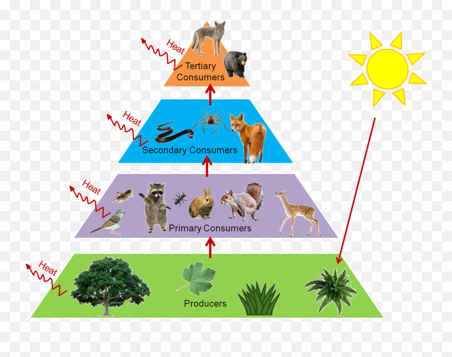 4 - Forest Food Chain Emoji,Gumby Emoji Emoticon