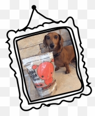 Lick You Silly Premium Pet Products - Dog Supply Emoji,Lick The Screen Emoji