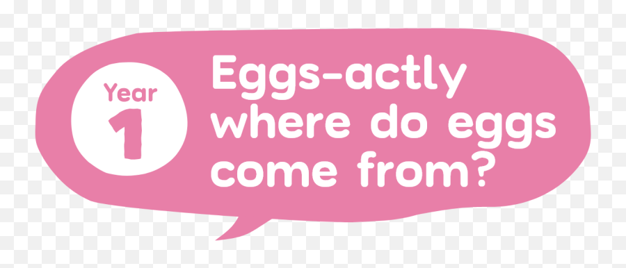Eggs - Actly Where Do The Eggs We Eat Come From Interactive Language Emoji,Interactive Fb Emoticons