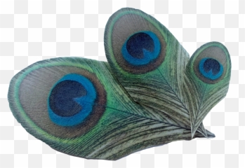 Wafer Paper Peacock Feathers Edible Peacock Feathers - Decorative Emoji,Peacock Feather Ascii Emoticon