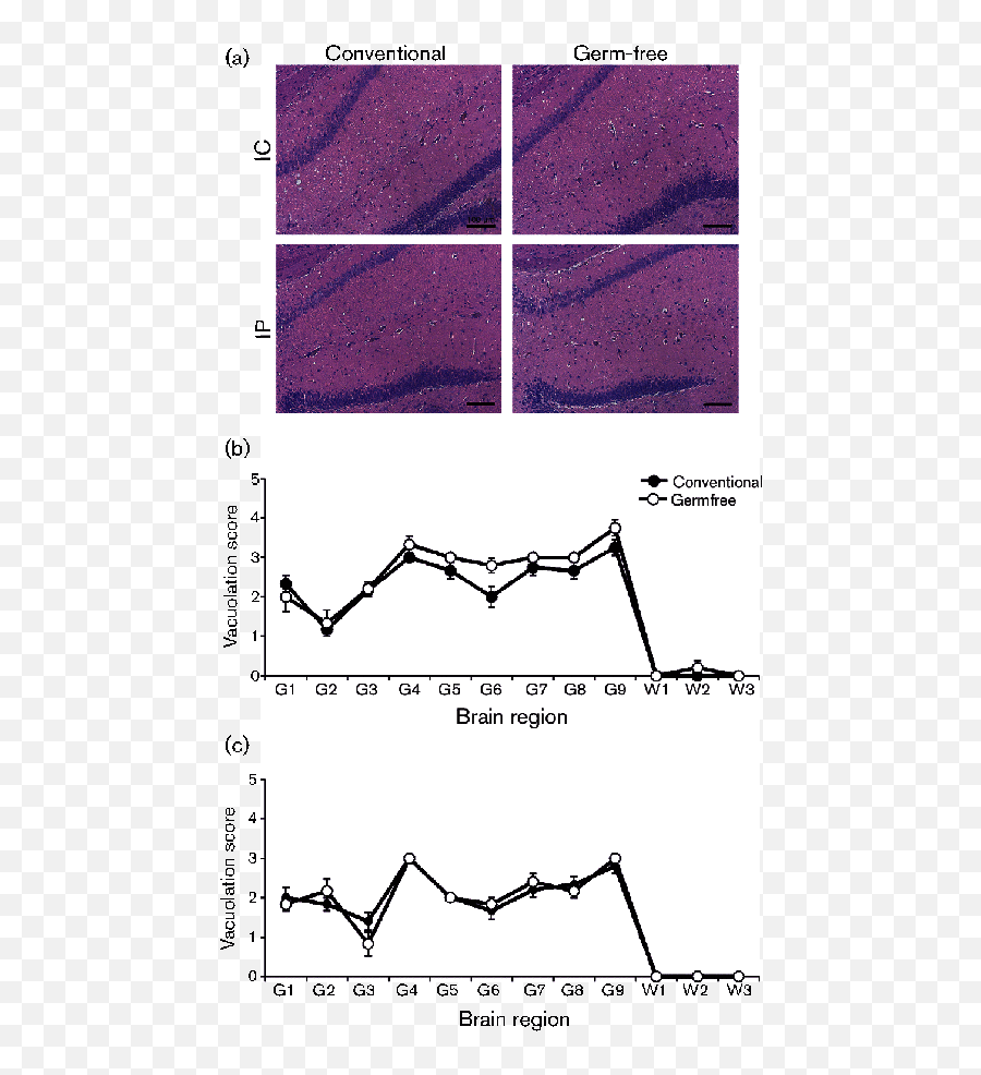 Prion Disease Pathogenesis In The Absence Of The Commensal Emoji,Richard Tan 7 Emotions Points