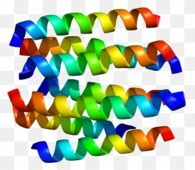 Dopamine Receptor D2 - Wikipedia Emoji,Panas Negative Emotion Definition