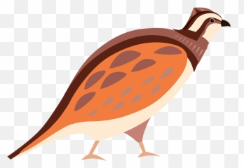 Quail Clipart Free Download Transparent Png Creazilla Emoji,Ble Bird Emoji