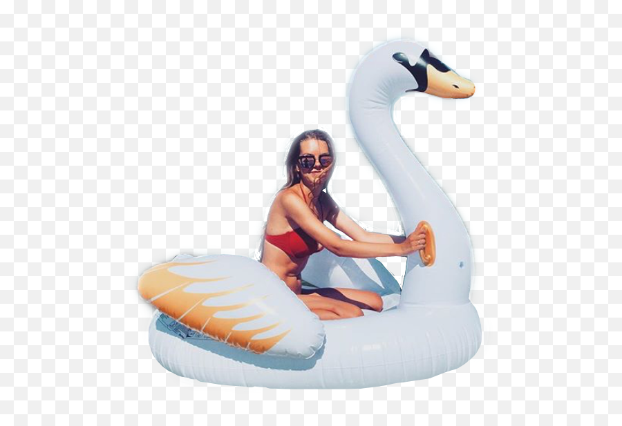 Swan Bird Beach Bikini Girl Summer Sticker By Mistry - Tubing Emoji,Emoji Floaties