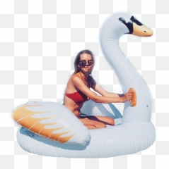 Swan Bird Beach Bikini Girl Summer Sticker By Mistry - Tubing Emoji,Emoji Floaties