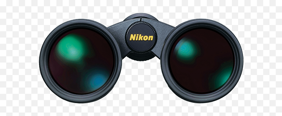 Is One That - Binoculars Front View Transparent Emoji,Binocular Emoji