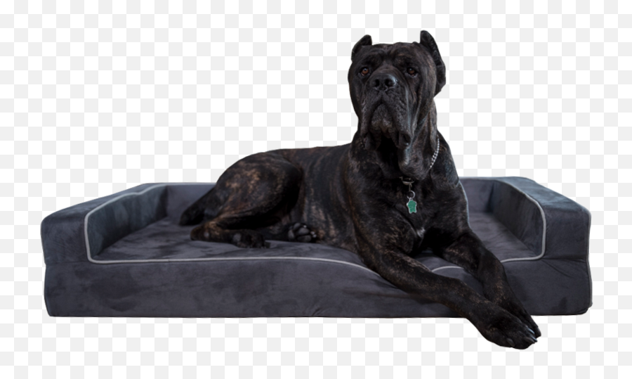Extra Large Dog Beds Dog Beds For Big Dogs Bully Beds - Bully Bed Emoji,Bbc Dogs Emotions